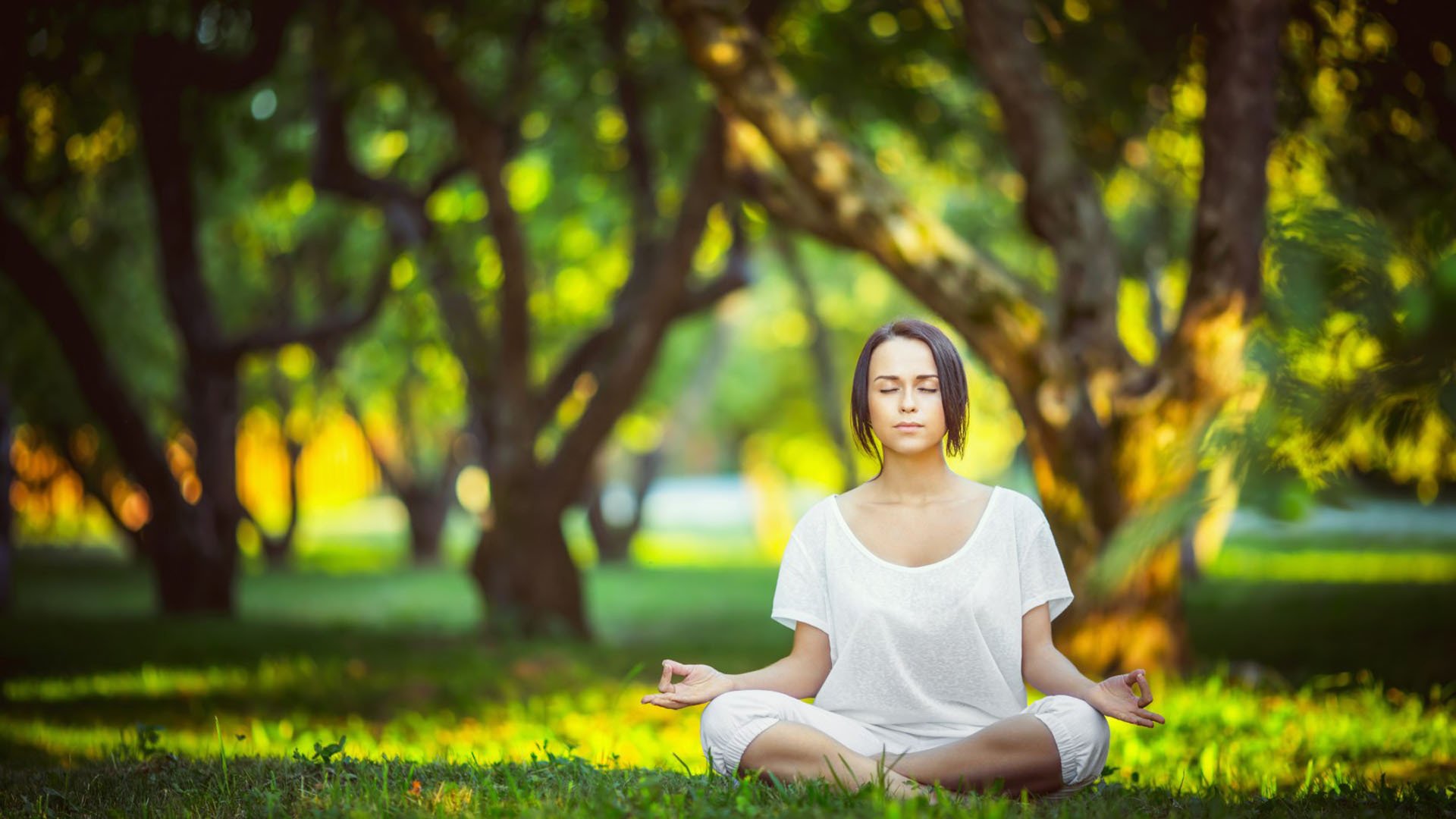 红魔薪酬榜，2024-25曼联顶薪TOP10，谁才是老特拉福德的打工皇帝？